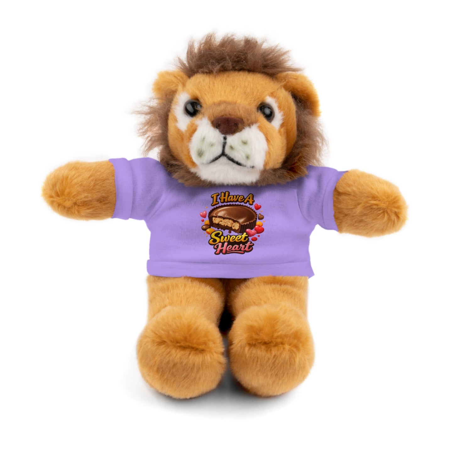 Teddy Bear — "I Have a Sweet Heart" Plush with Graphic Tee